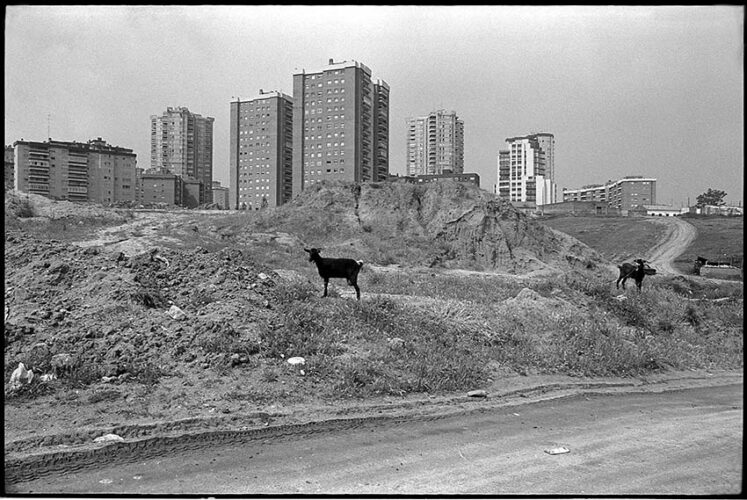 Javier Campano, Chamartín 1980. © Javier Campano. VEGAP, Madrid, 2024