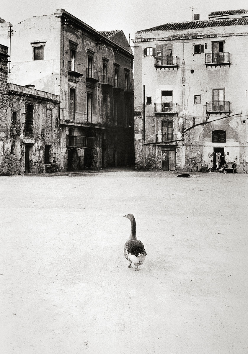 Lia Pasqualino. L'oca di Piazza Magione, Palermo, 1987