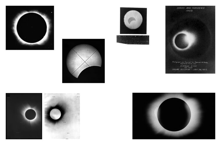 Rebecca Mutell & Martí Llorens. Imagen perteneciente al conjunto taxonómico «Eclipse intervalo de luz y oscuridad». 2024