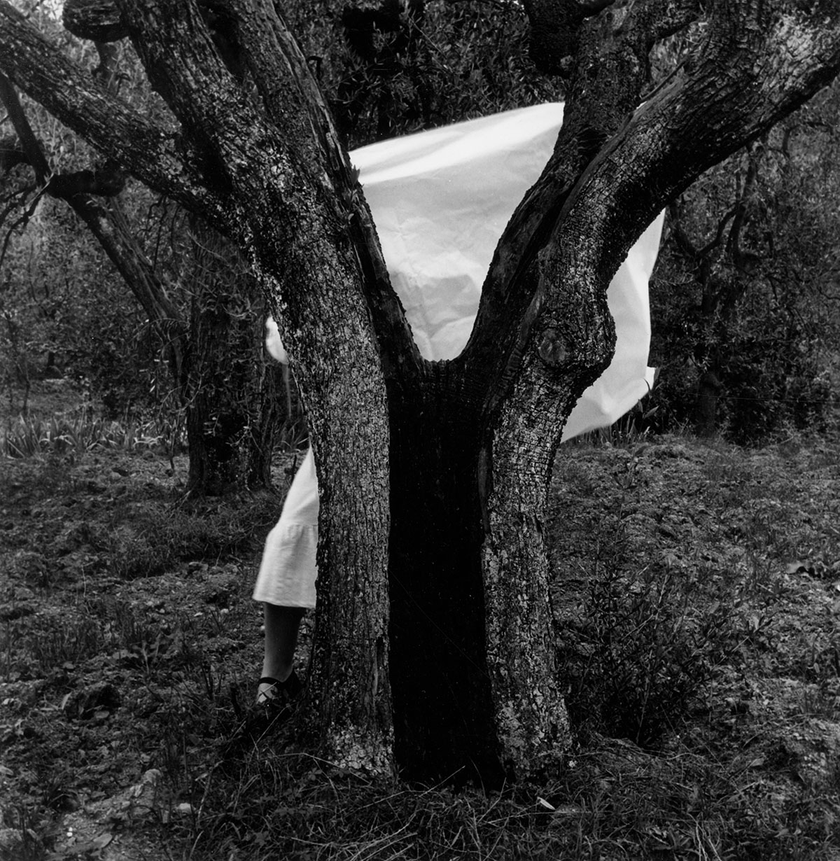 Selfportrait behind a tree. Francesca Woodman