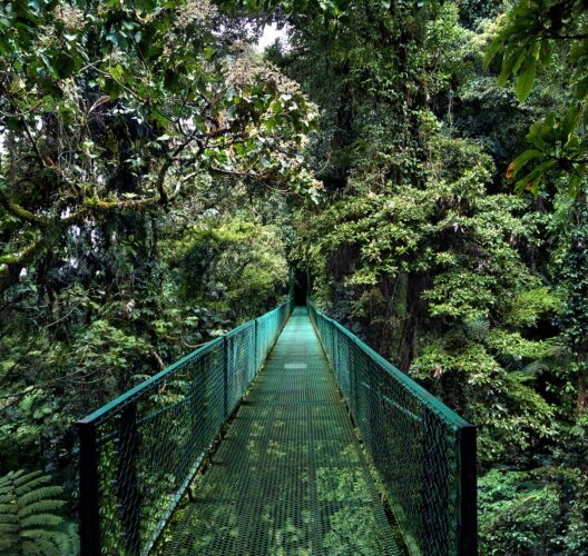 Monteverde, Costa Rica © Carma Casulá