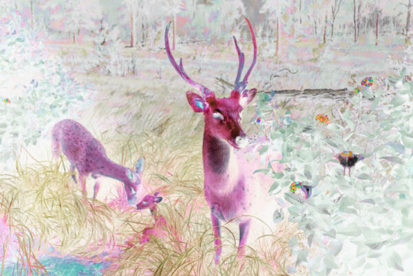 Fauna (2024) ©Claudia Fuggetti