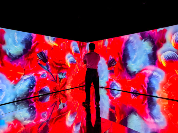 © CUPRA City Garage Madrid En esta edición nos enfocamos a las nuevas prácticas, formatos y canales de creación y producción de imágenes y junto al innovador y disruptivo espacio de CUPRA City Garage Madrid, expandimos la noción de la fotografía.