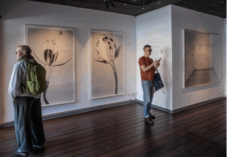 © Galería Blanca Berlín