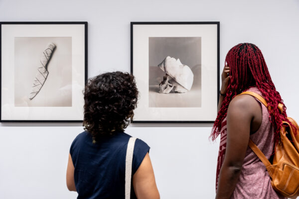 PHE25_Nebula_Circuito_JOR7427