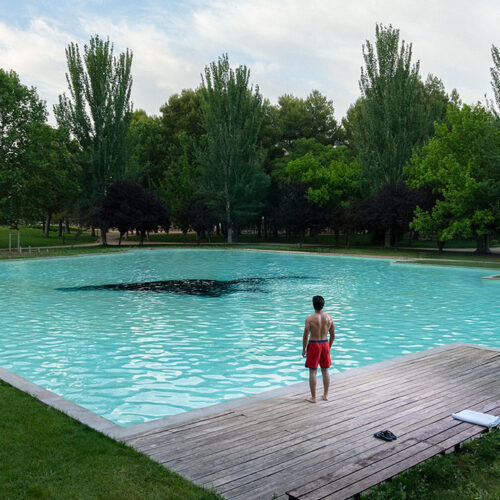 Telmo Meana. Lo monstruoso verosímil. © TELMO MEANA