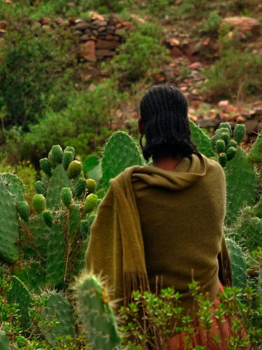 Frewoyne Gebru. El horizonte trenzado © Frewoyne Gebru