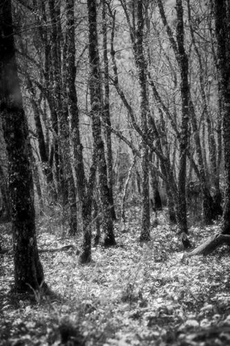 Carmen Bustos. Tierra intacta © Carmen Bustos