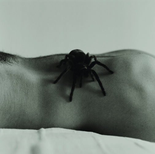 Gorka Postigo. ©Gorka Postigo