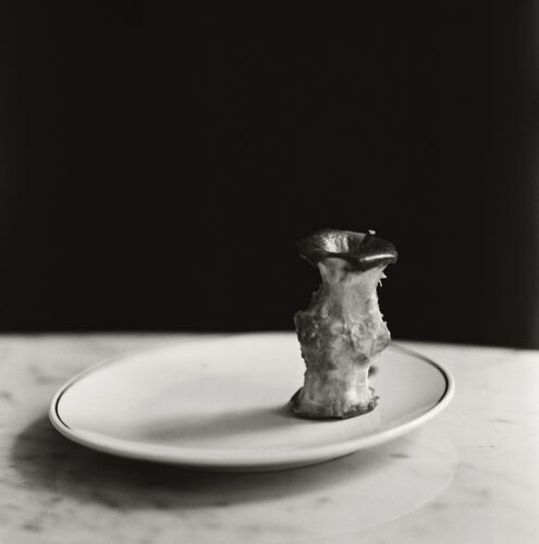 Gorka Postigo © Gorka Postigo