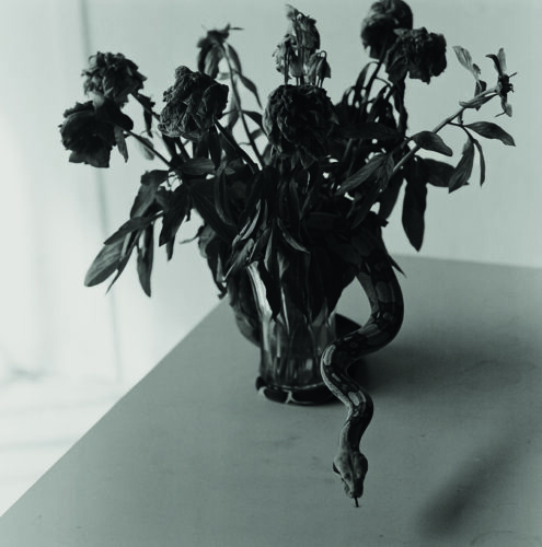 Gorka Postigo. ©Gorka Postigo