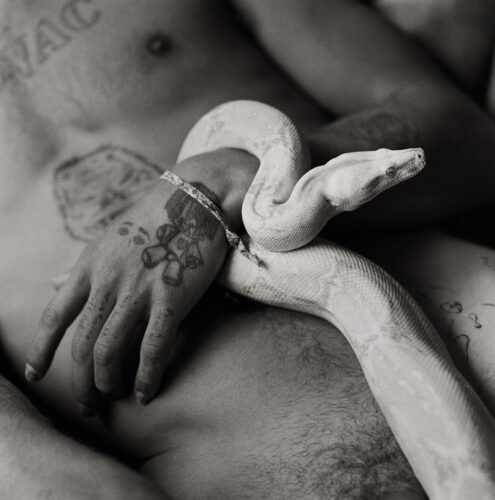 Gorka Postigo © Gorka Postigo
