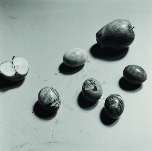 Gorka Postigo. ©Gorka Postigo