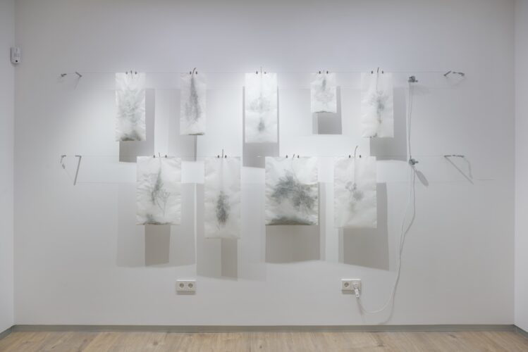 Ariamna Contino. El colector de historias. ©Ariamna Contino