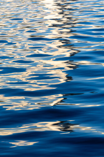 Nieves Santos. Tierra enmarcada © Nieves Santos