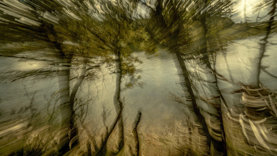 Enrique Martínez. Tierra vivida © Enrique Martínez