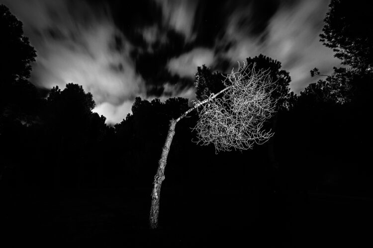 Manuel Taobada. Tierra imaginada © Manuel Taobada