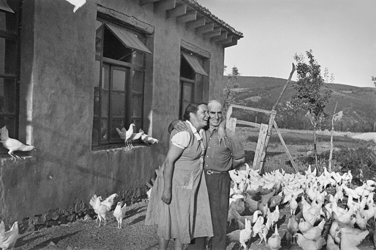 Belita Gracia. Sin título, años 50 © Belita Gracia