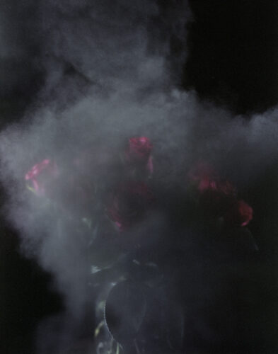 Patricia Rodas. Aftermath, a case study, 2026 © Patricia Rodas