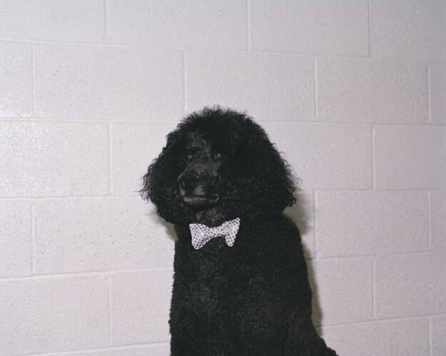 Bego Antón, de la serie Everybody Loves to ChaChaCha, 2015. © Bego Antón