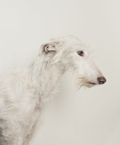 Estela de Castro. Sordi, 2023. © ESTALA DE CASTRO