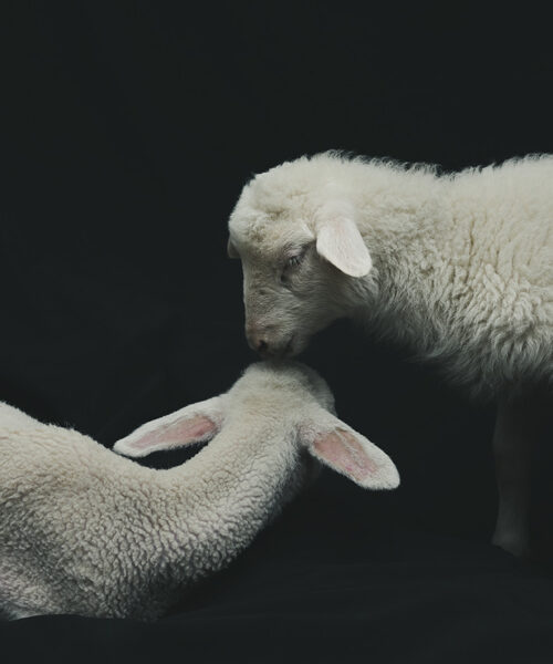 Estela de Castro. Ramón y Rafa, 2023. © ESTALA DE CASTRO