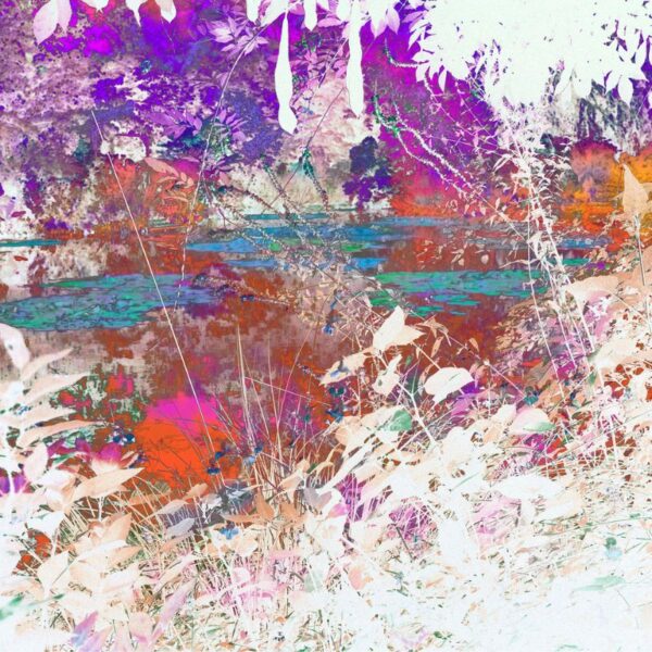 José Quintanilla © José Quintanilla