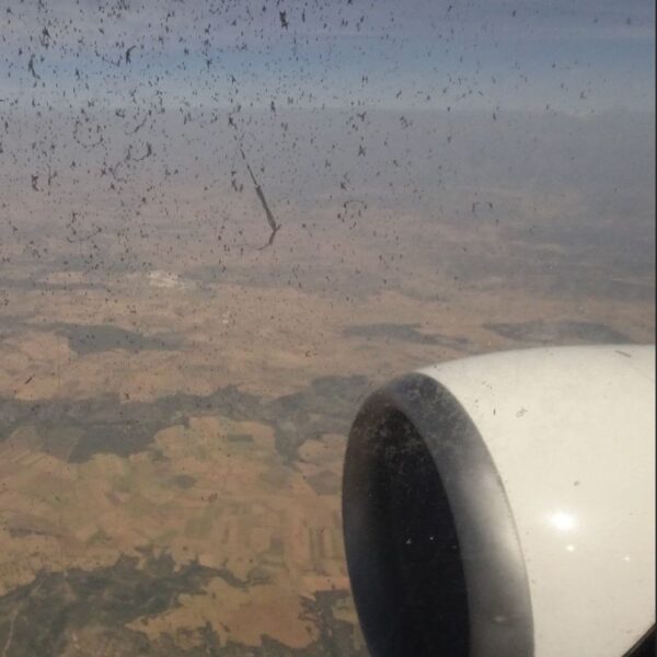 Cristina Stolhe. Sin título. © Cristina Stolhe