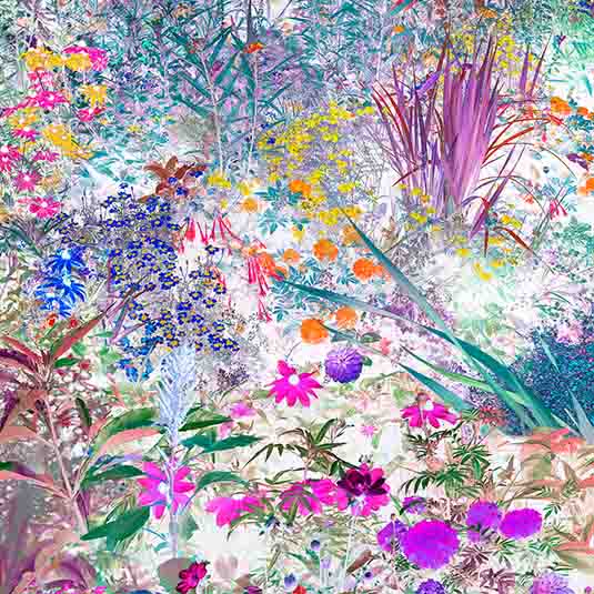 Jose Quintanilla, El jardín revelado. ©Jose Quintanilla