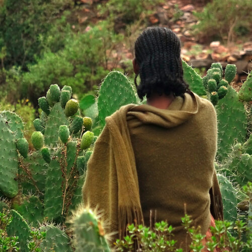 Frewoyne Gebru. El horizonte trenzado © Frewoyne Gebru