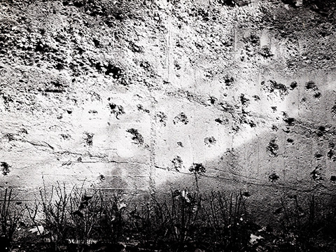 Ana Idaira. Gallo rojo, gallo negro. ©Ana Idaira