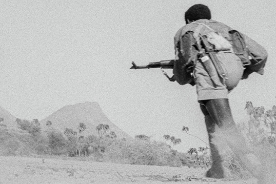 ©Arturo Pérez-Reverte