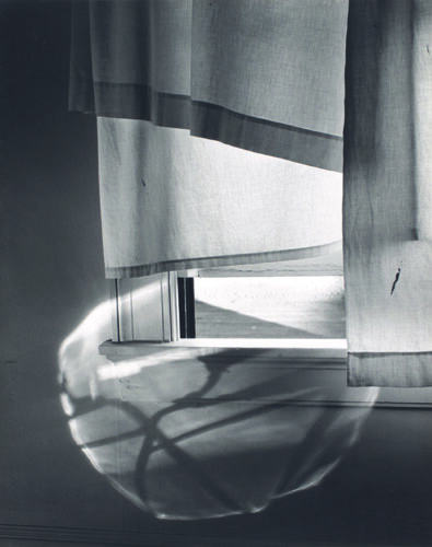 Minor White 72 N. Union Street, Rochester, from Sequence 14: The Sound of One Hand, July 17, 1958 Gelatin silver print The Minor White Archive, Princeton University Art Museum, bequest of Minor White x1980-3394 © Trustees of Princeton University Photo: Allen Chen