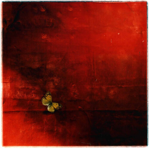 Toni Catany. Natura Morta, no 123, 1986. ©Toni Catany