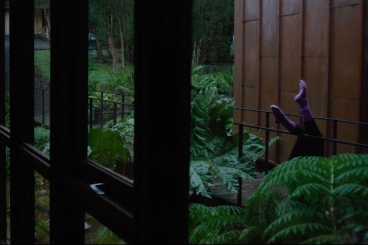 Clara Larraín y Shawn Garry. Naturaleza Muerta, 2026. ©Clara Larraín y Shawn Garry