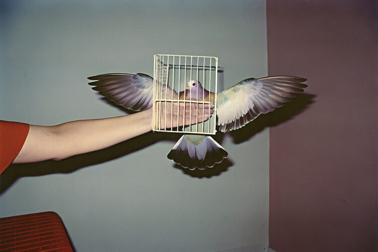 Marina Bobo. Homenaje a María Bernaldo de Quirós, 2025 © MARINA BOBO