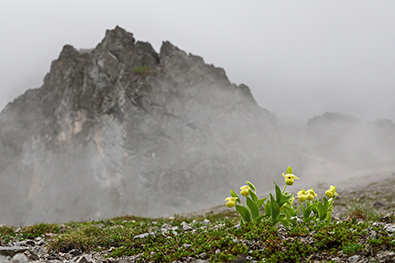 Paisaje de Shagri-La de la provincia Yunnan