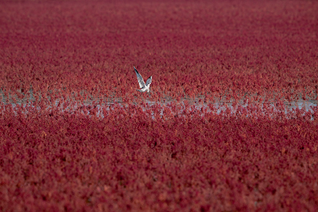 Paisaje del área de conservación del Río Liao