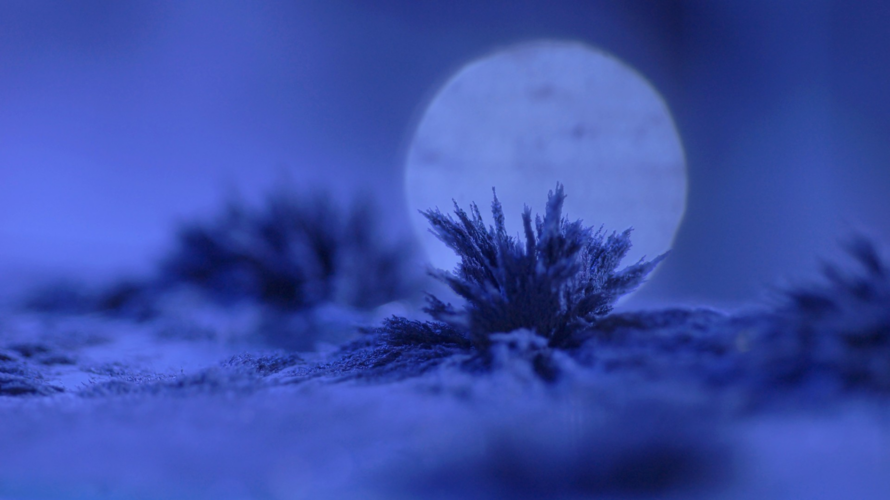 Sebastián Díaz Morales, #4 El cielo cayendo (Under the Falling Sky) FROZEN-DESERT, film still, 2025. ©Sebastián Díaz Morales