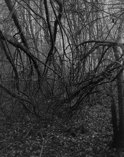 Patricia Rodas. The Most Intimate Hideaways III, 2017. © Patricia Rodas