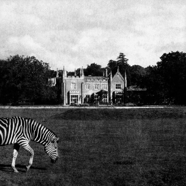 Tuija Lindström, 1980-1990. ©Tuija Lindström