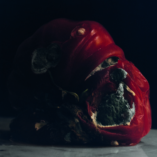 Gorka Postigo. Tomato ©Gorka Postigo