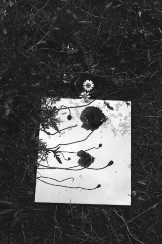 © Mariana Bracho
